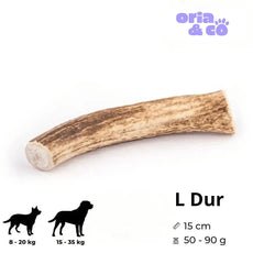 Bois de cerf dur L (15cm) - 80g - Friandises de mastication longue durée 4DogsOriginal