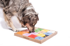 Dog' SUDOKU Medium Genie Color - puzzle chien My Intelligent Dogs