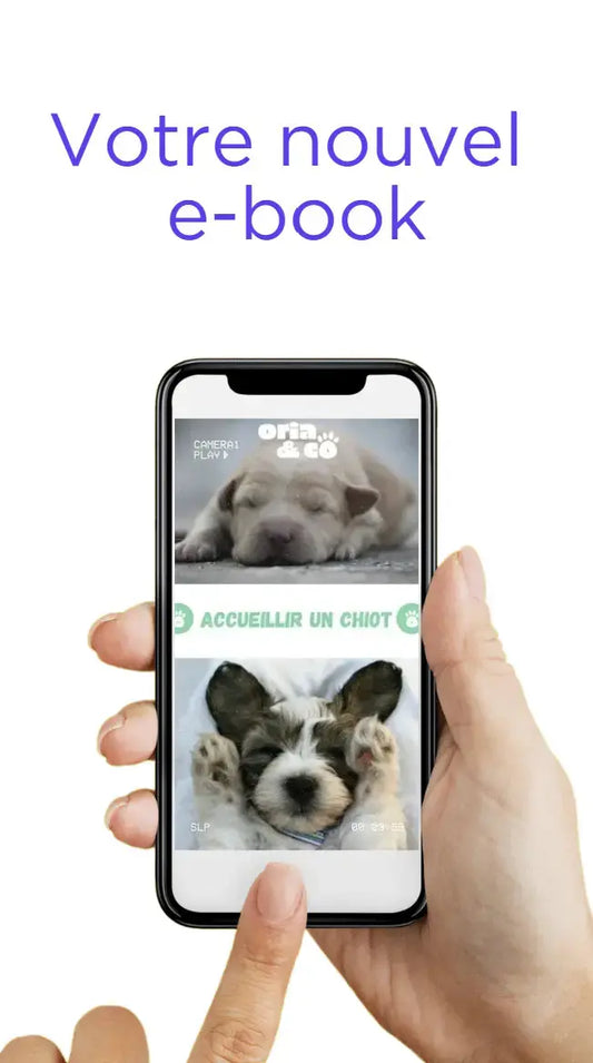 Couverture de l'ebook sur comment accueillir un chiot à la maison