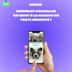 EBook : Comment accueillir un chiot à la maison ? Oria & Co