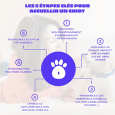 EBook : Comment accueillir un chiot à la maison ? Oria & Co