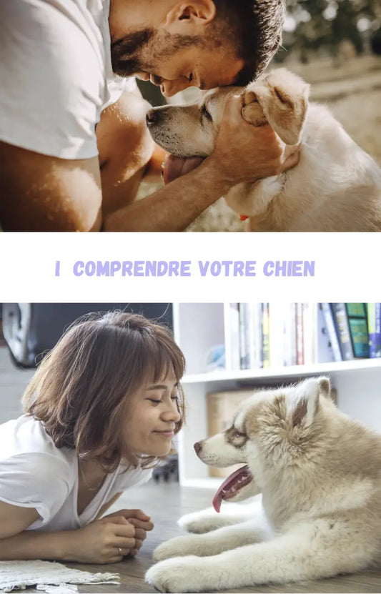 Chapitre 1 de l'ebook sur éducation d'un chien