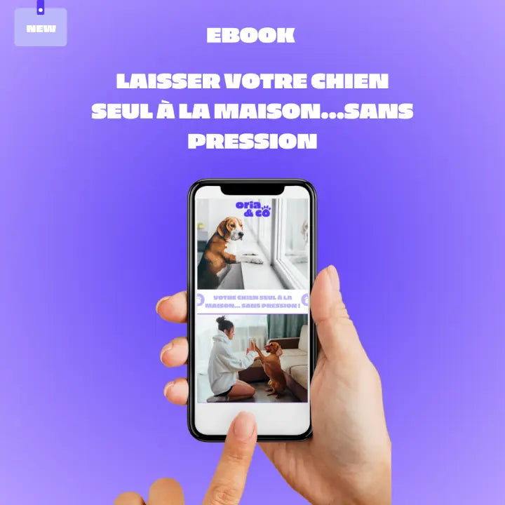 EBook : Laissez votre chien seul à la maison en toute sécurité Oria & Co