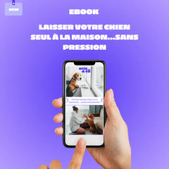 EBook : Laissez votre chien seul à la maison en toute sécurité