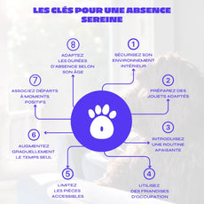 EBook : Laissez votre chien seul à la maison en toute sécurité Oria & Co